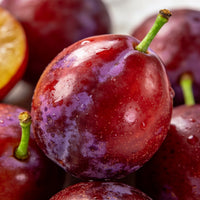 Red Plum