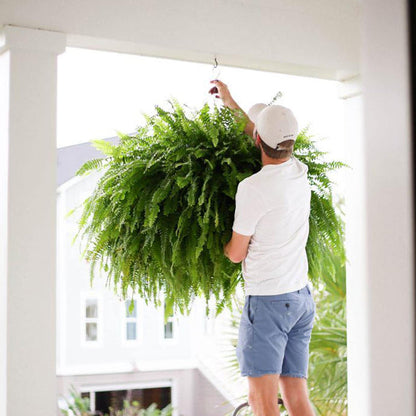 🌱Factory Direct Sales 70% Off ! - UV-Resistant Lifelike Artificial Boston Fern