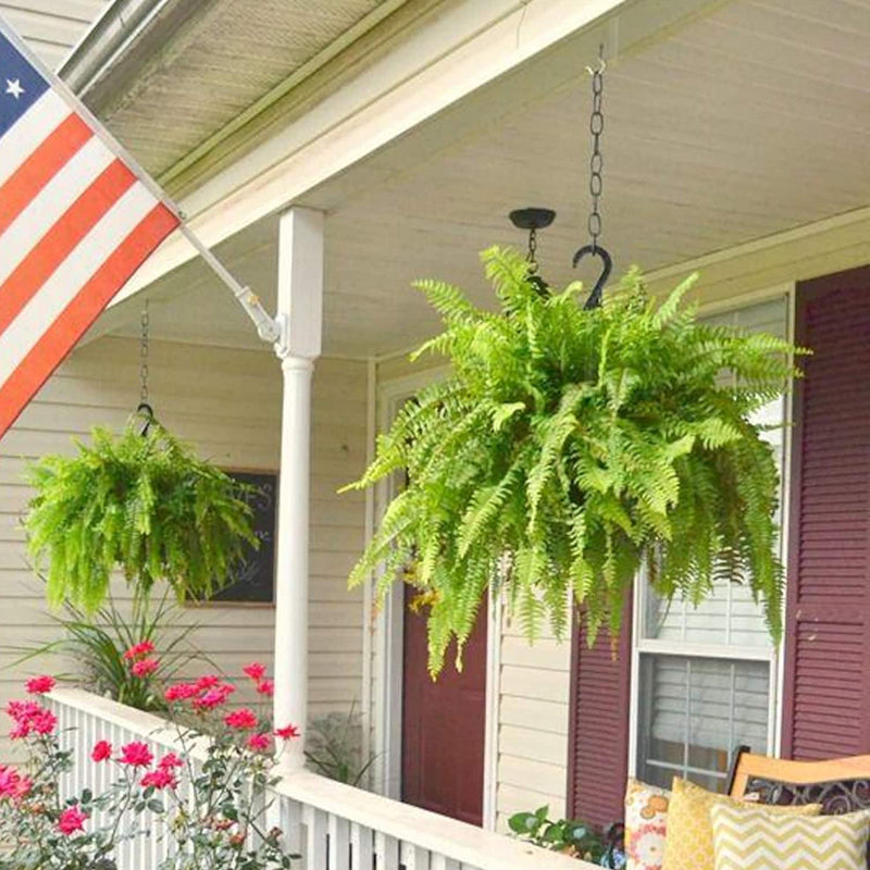 🌱Factory Direct Sales 70% Off ! - UV-Resistant Lifelike Artificial Boston Fern