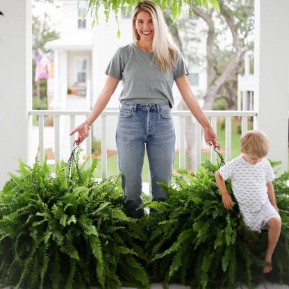 🌱Factory Direct Sales 70% Off ! - UV-Resistant Lifelike Artificial Boston Fern